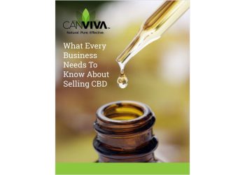 Big Relief, Big Profits: Why Your Business Should Sell CBD Products